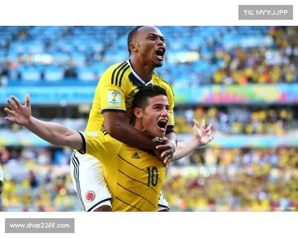 天津权健2017年比赛集锦